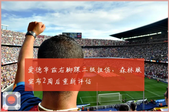爱德华兹右脚踝二级扭伤，森林狼宣布2周后重新评估